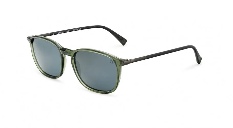 Etnia Barcelona CACTUS Sunglasses - view 21